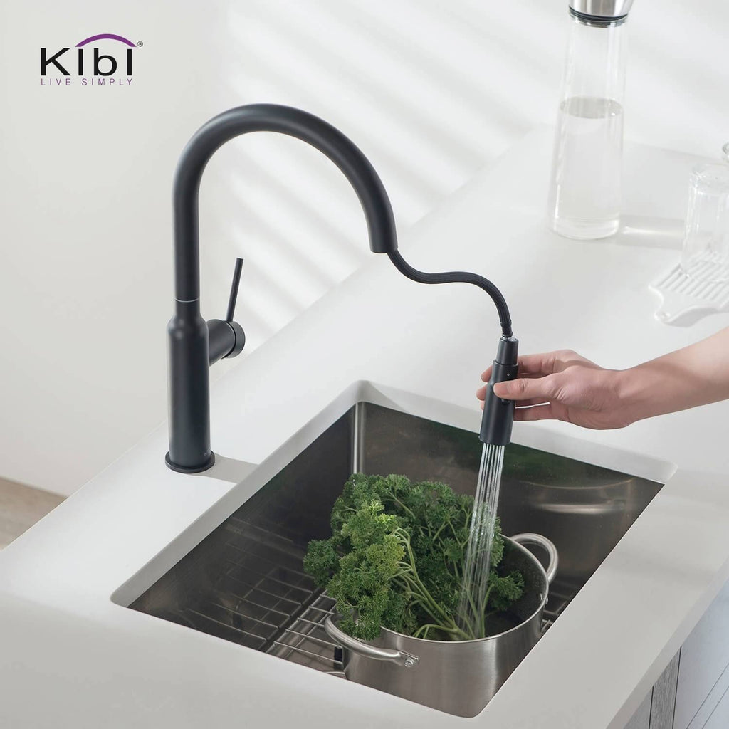 Black Single Level Kitchen Faucet with Sprayer C826654