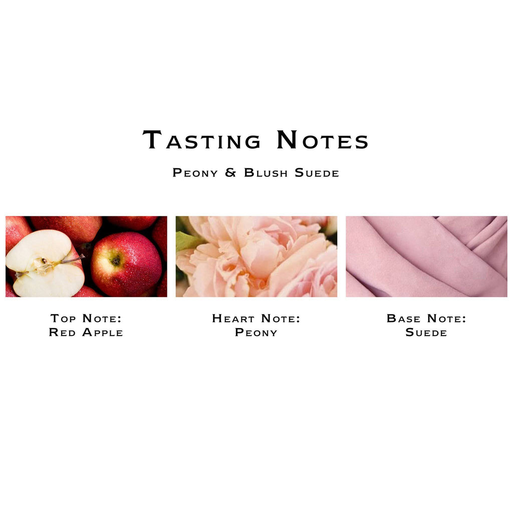 Peony & Blush Suede Scent Surround Diffuser 5.6 oz R60268