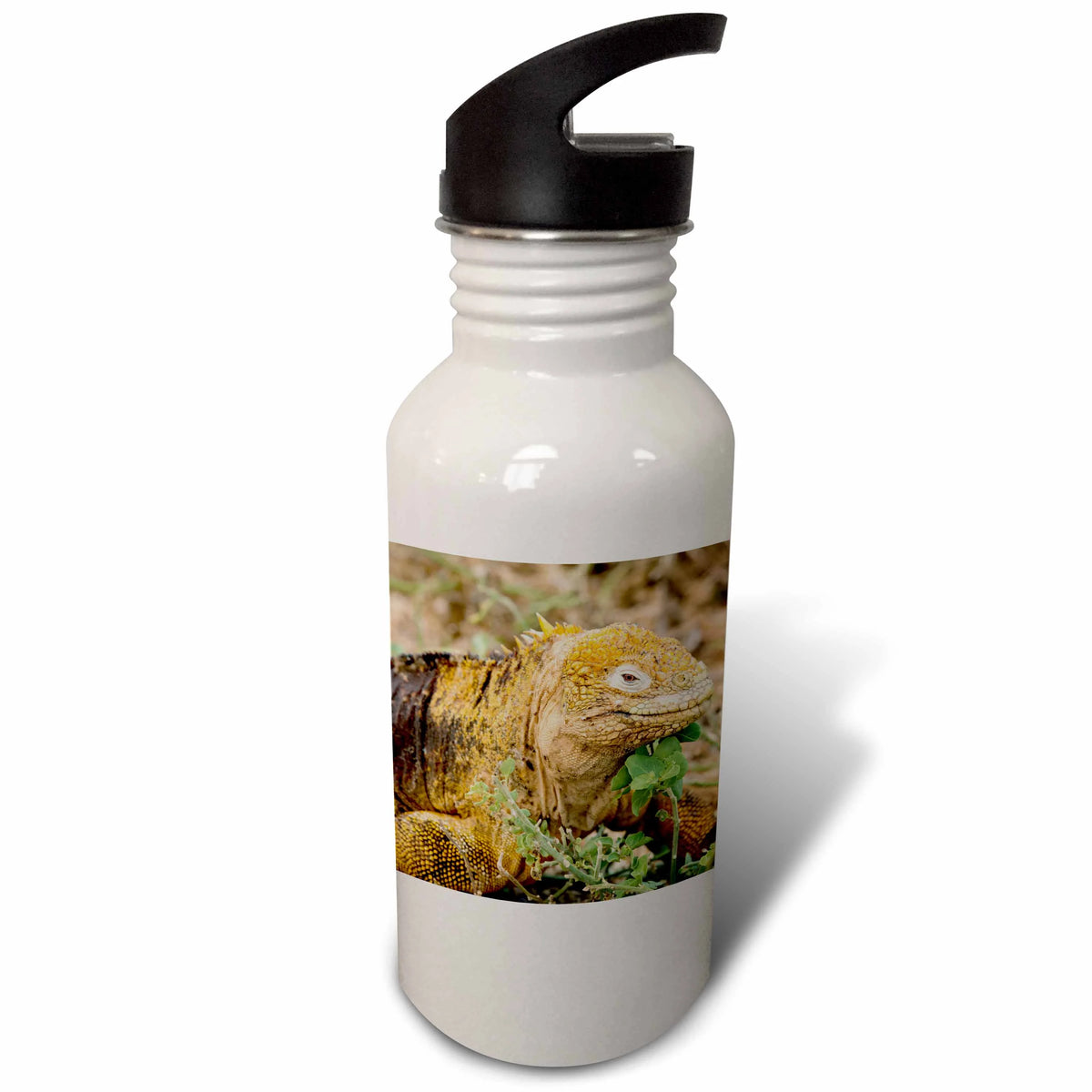 21 oz Sports Water Bottle N953