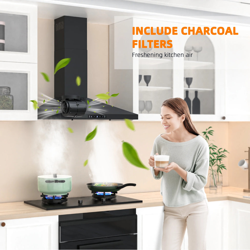 Stainless Steel Wall Mount Range Hood 30 Inch 600 CFM 3 Speed Ducted Ductless Convertible A68383