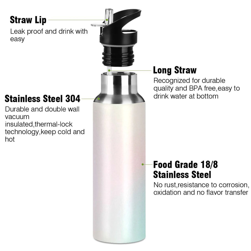 20 OZ Stainless Steel Vacuum Insulated Water Bottle with Straw Lid H65702