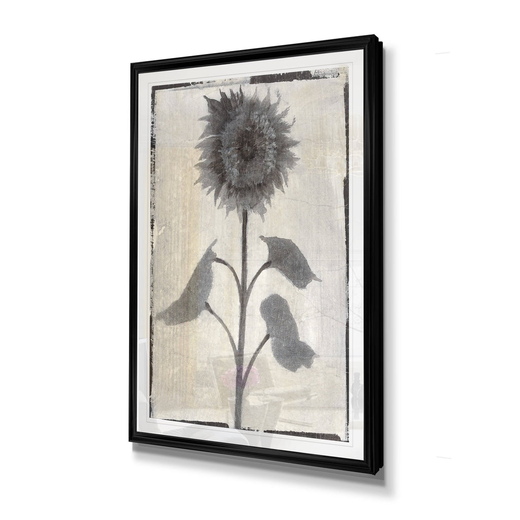 Framed Giclee Print 30x40 B150