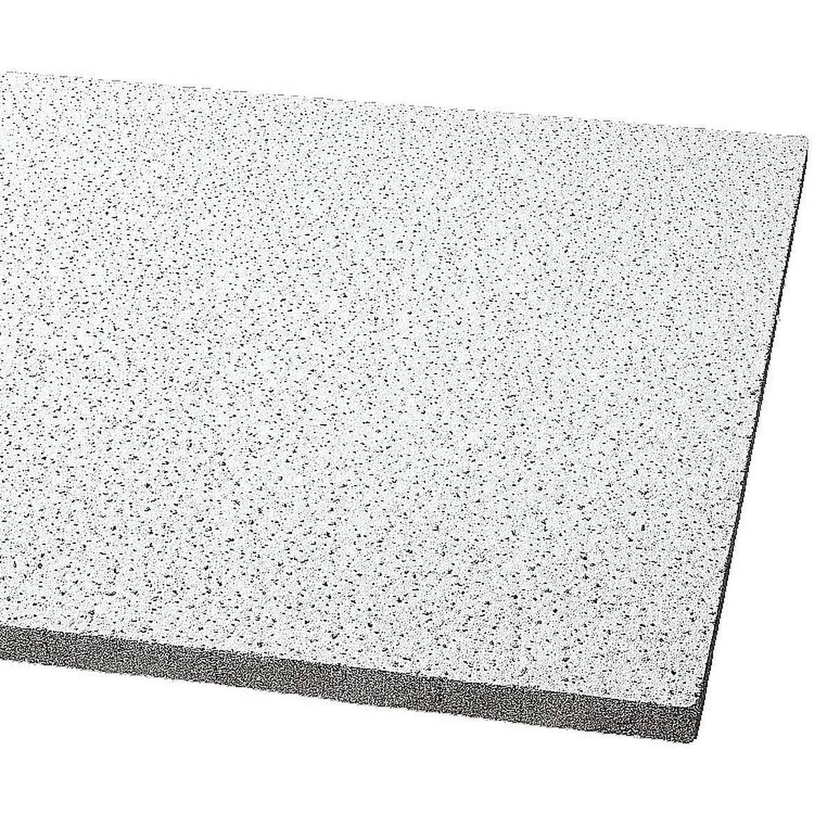 24x24x5/8 in. White Acoustical Ceiling Panel X97793