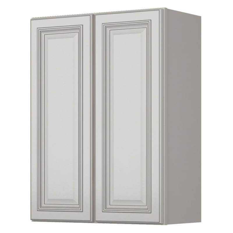 24x22 x 36x22 Double Door Wall Cabinet E299244