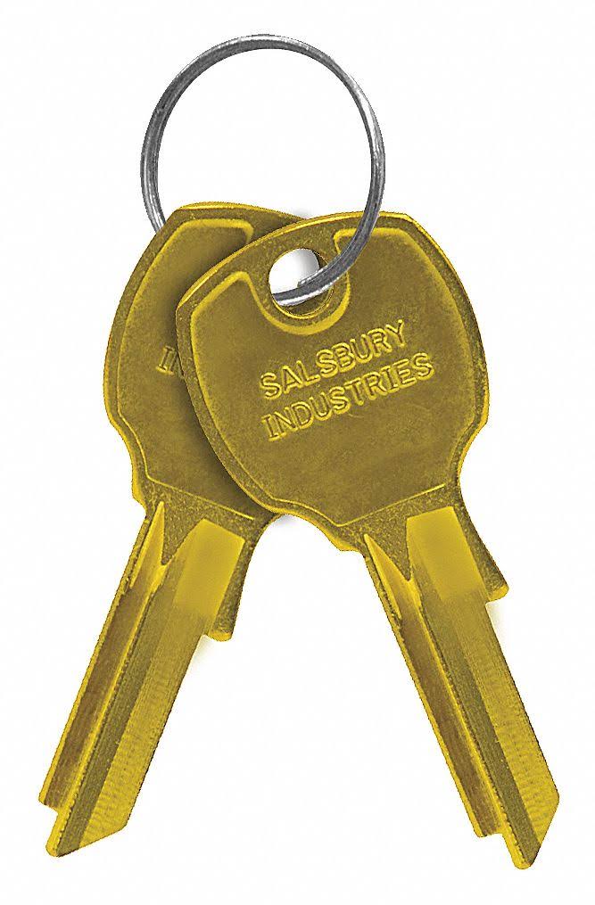 Key Blank with Pins T580