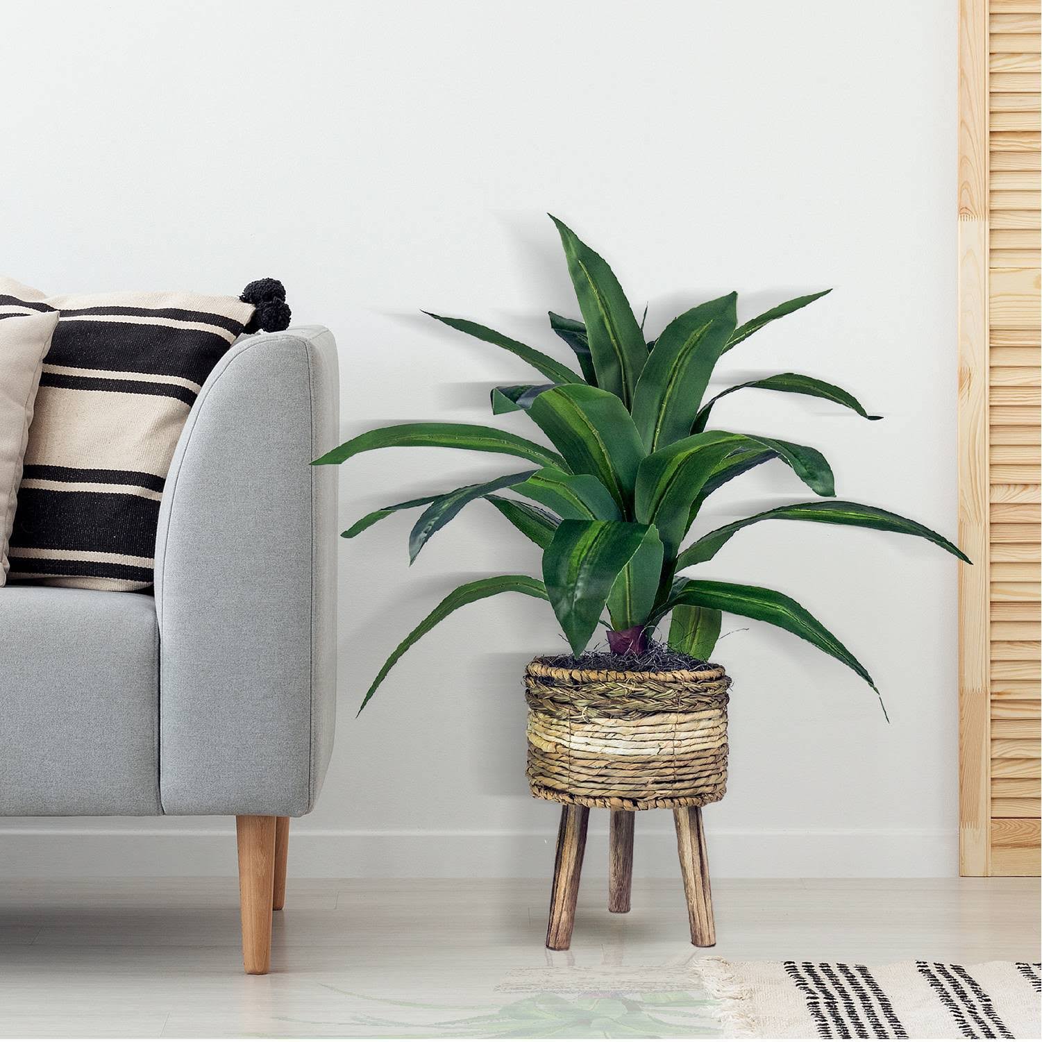 Green Plant in Basket Stand N166332