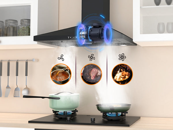 Stainless Steel Wall Mount Range Hood 30 Inch 600 CFM 3 Speed Ducted Ductless Convertible A68383