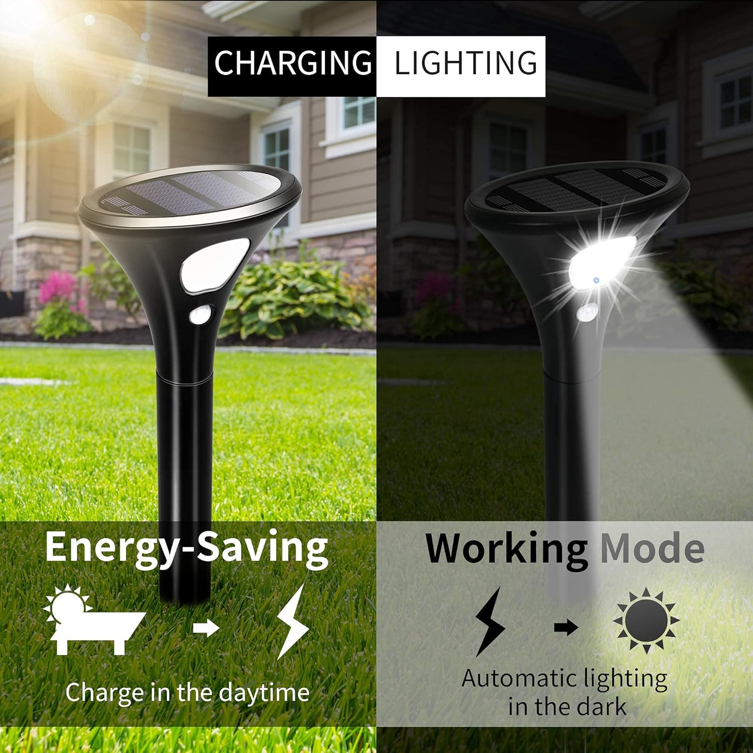 Black Solar Powered Pathway Lights W52308