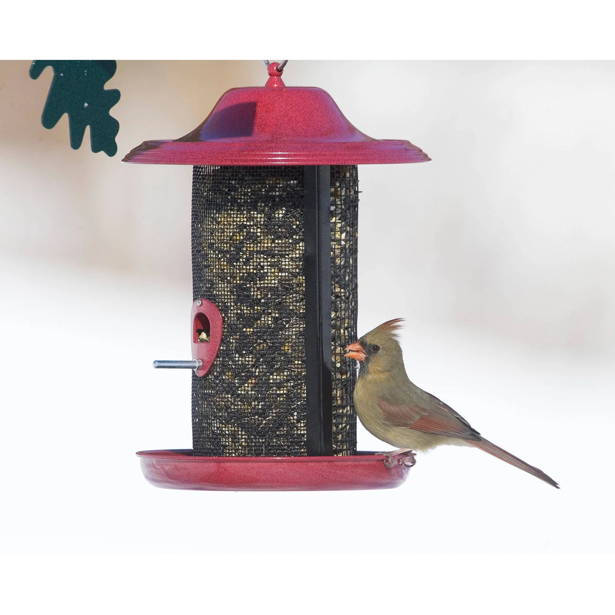 Red Twin Chamber Bird Feeder C90903
