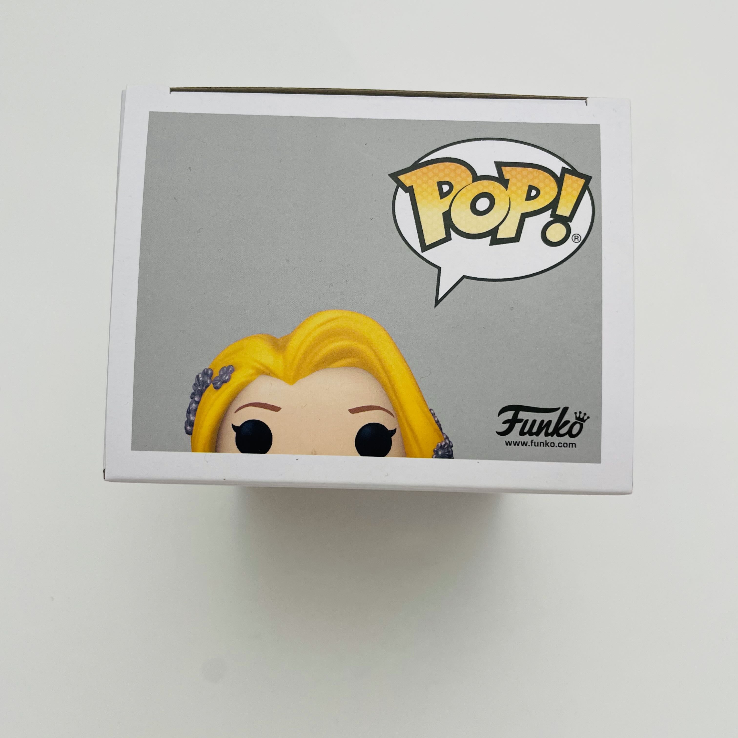 Rapunzel POP & Pin Vinyl Figure S240708