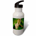 21 oz Sports Water Bottle B517824