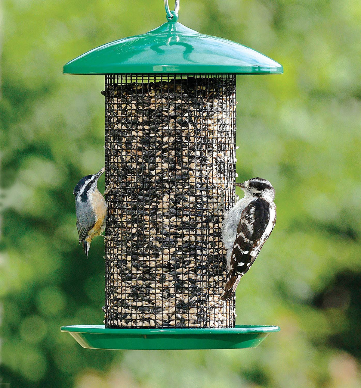 Green Mesh Screen Bird Feeder with Metal Roof R682581