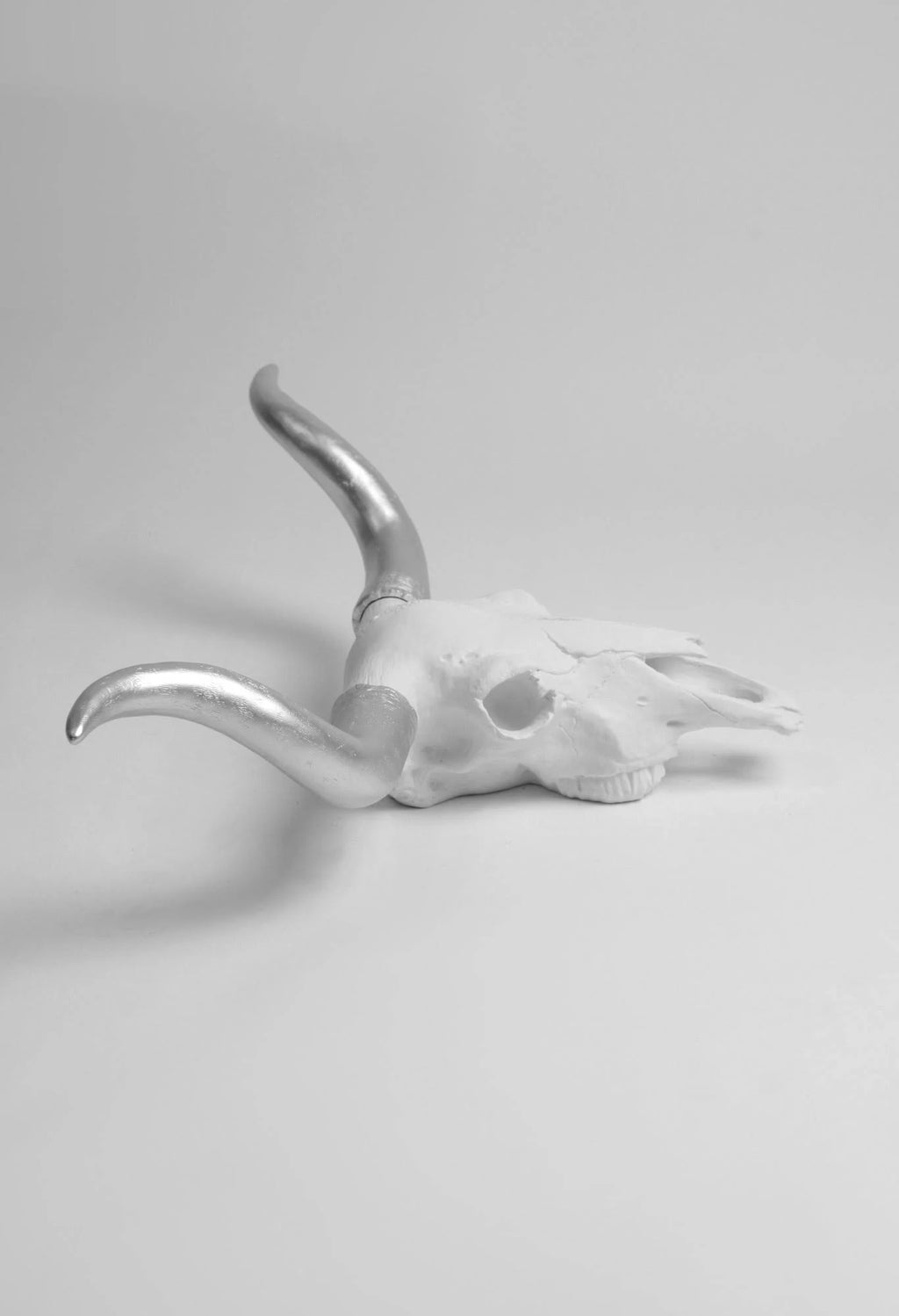 White Faux Longhorn Cattle Skull Decor A245
