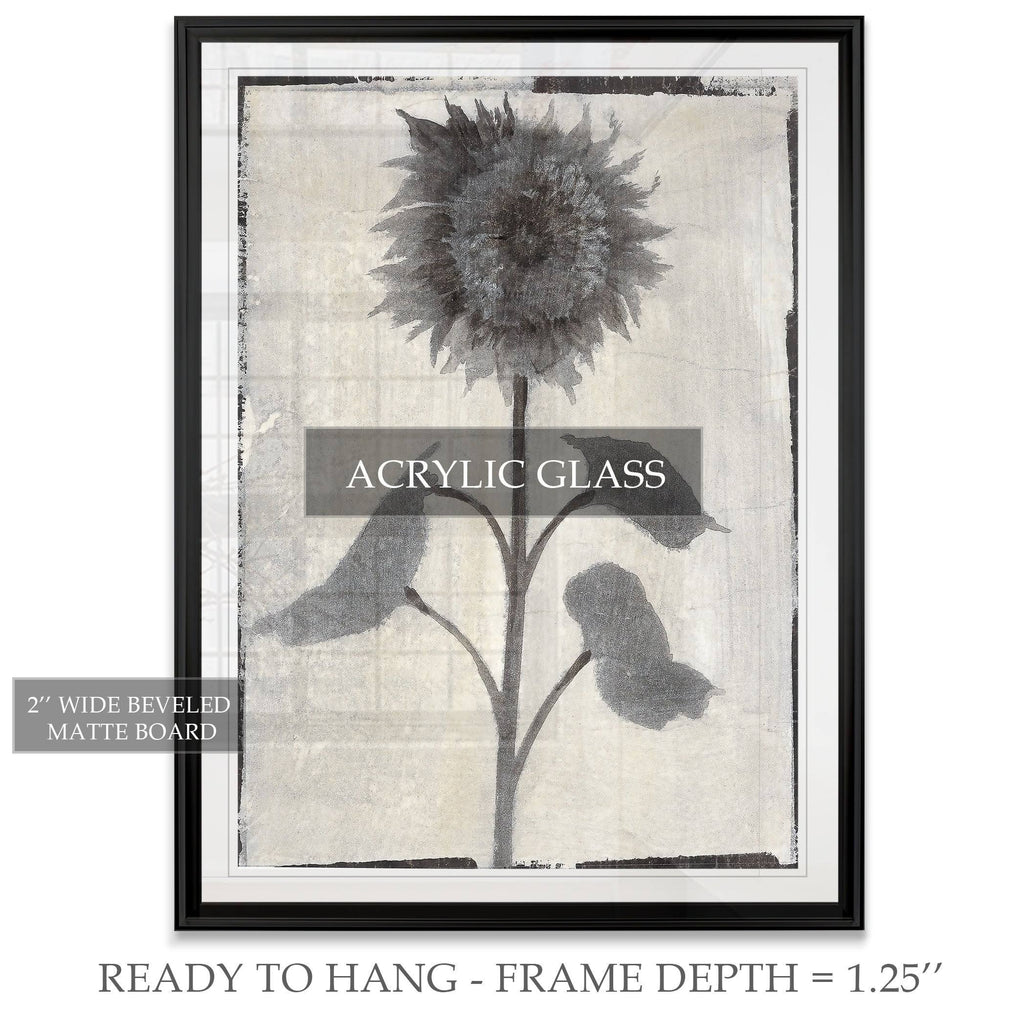 Framed Giclee Print 30x40 B150