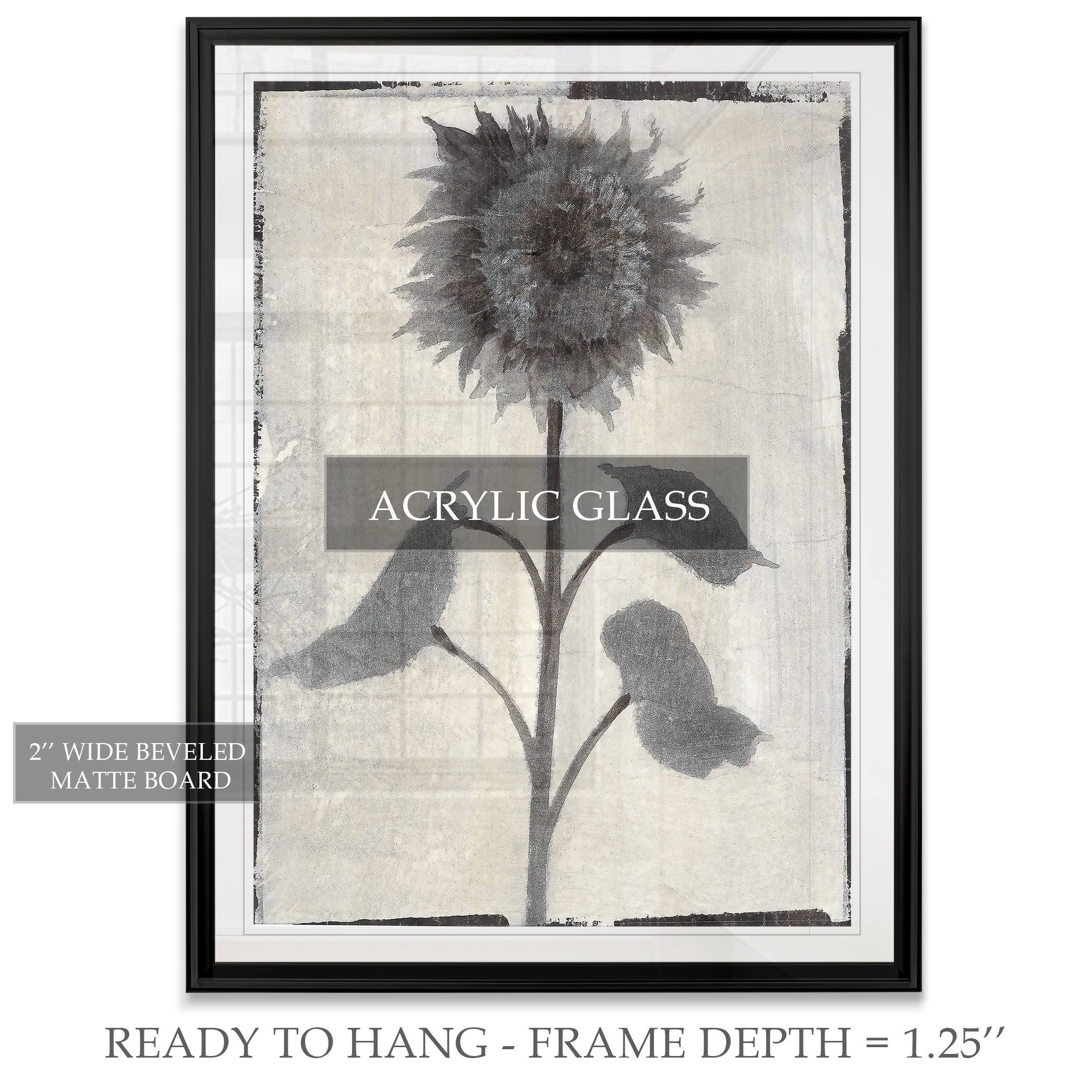 Framed Giclee Print 30x40 B150