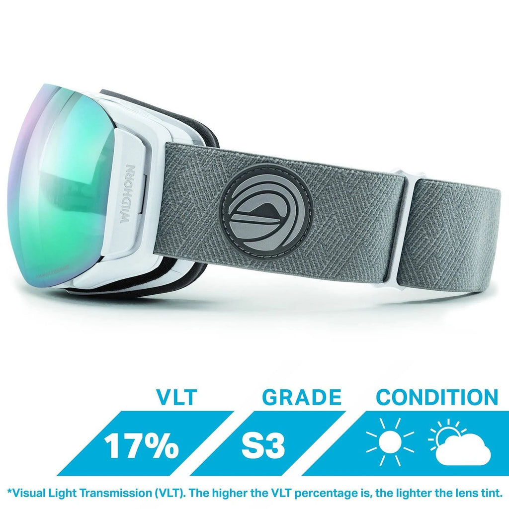 Frost/Sapphire Snowboard & Ski Goggles U225