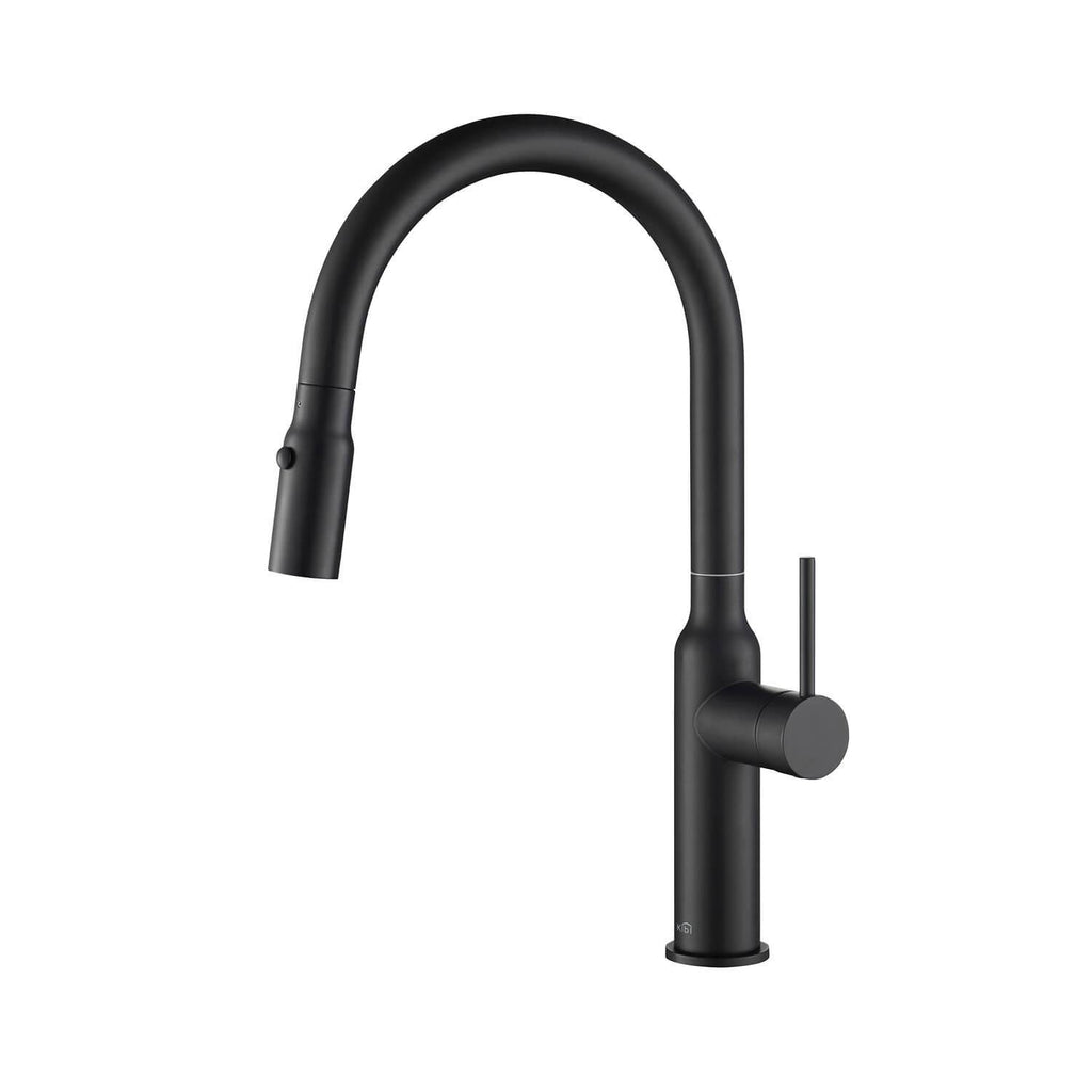 Black Single Level Kitchen Faucet with Sprayer C826654