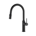 Black Single Level Kitchen Faucet with Sprayer C826654