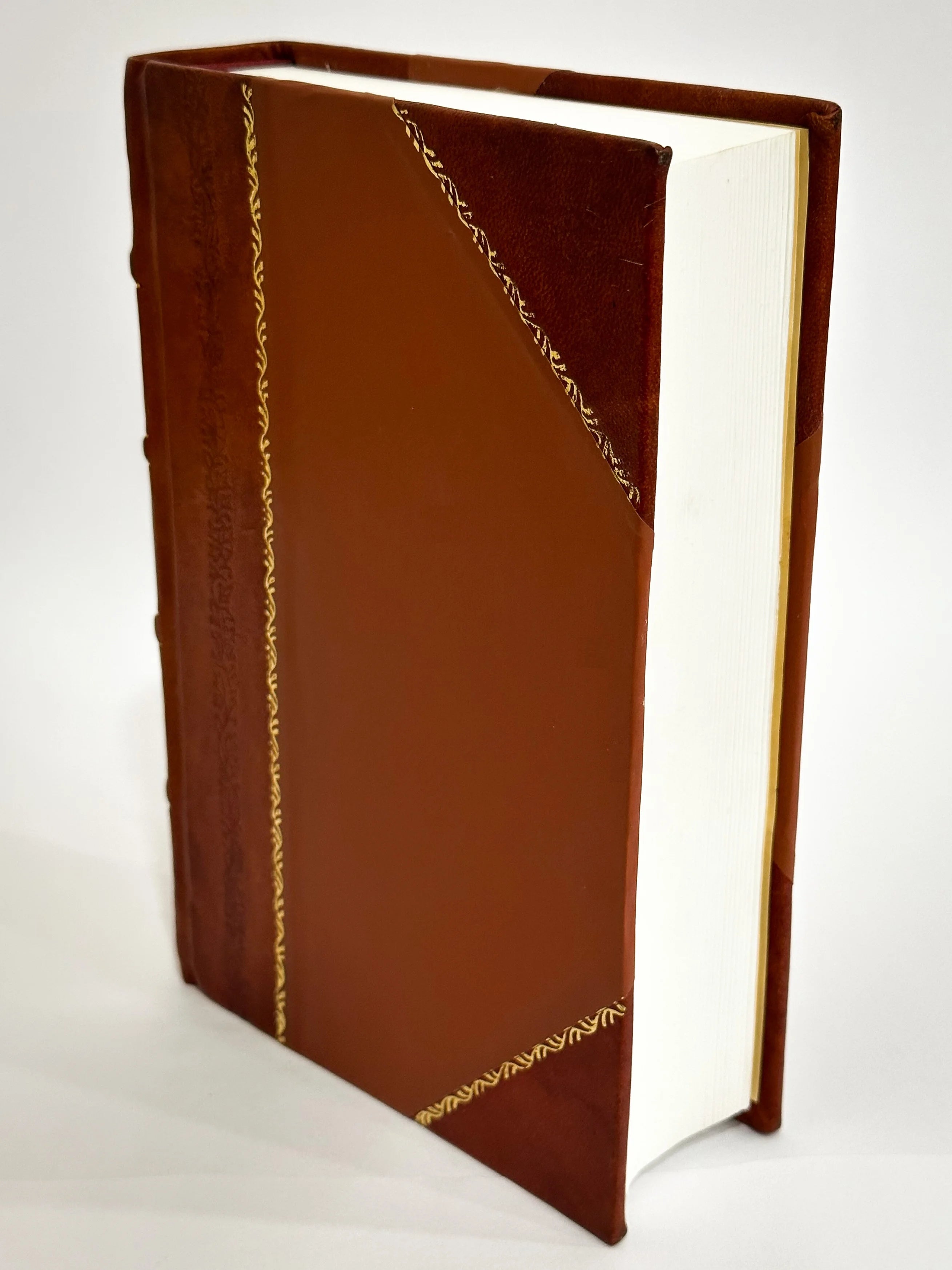 Leather Bound Book N334283