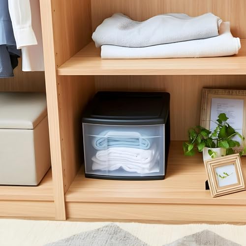 2-Pack 1-Drawer Clear Plastic Storage Cart, White Frame D28747