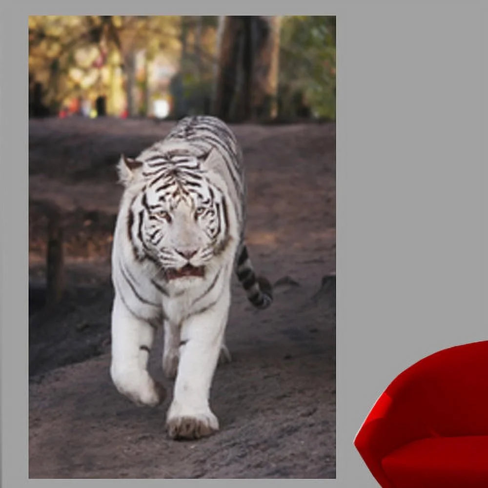 White Tiger Wall Mural M5651