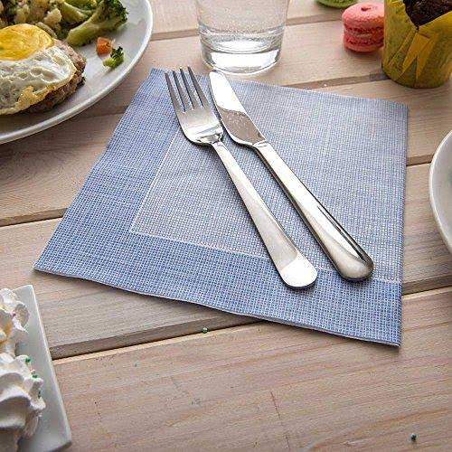 White with Blue Threads Disposable Napkins 16x16 Inches 600 Count K944712