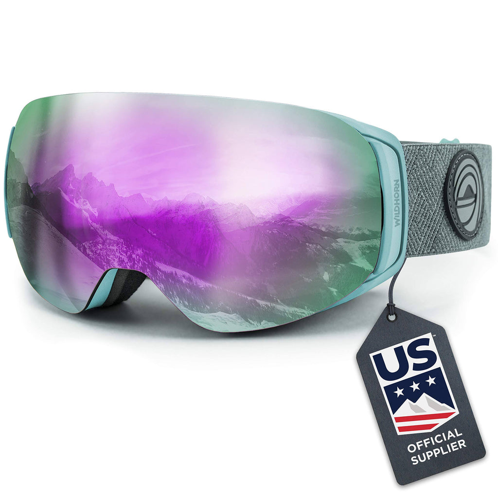 Frost/Sapphire Snowboard & Ski Goggles U225