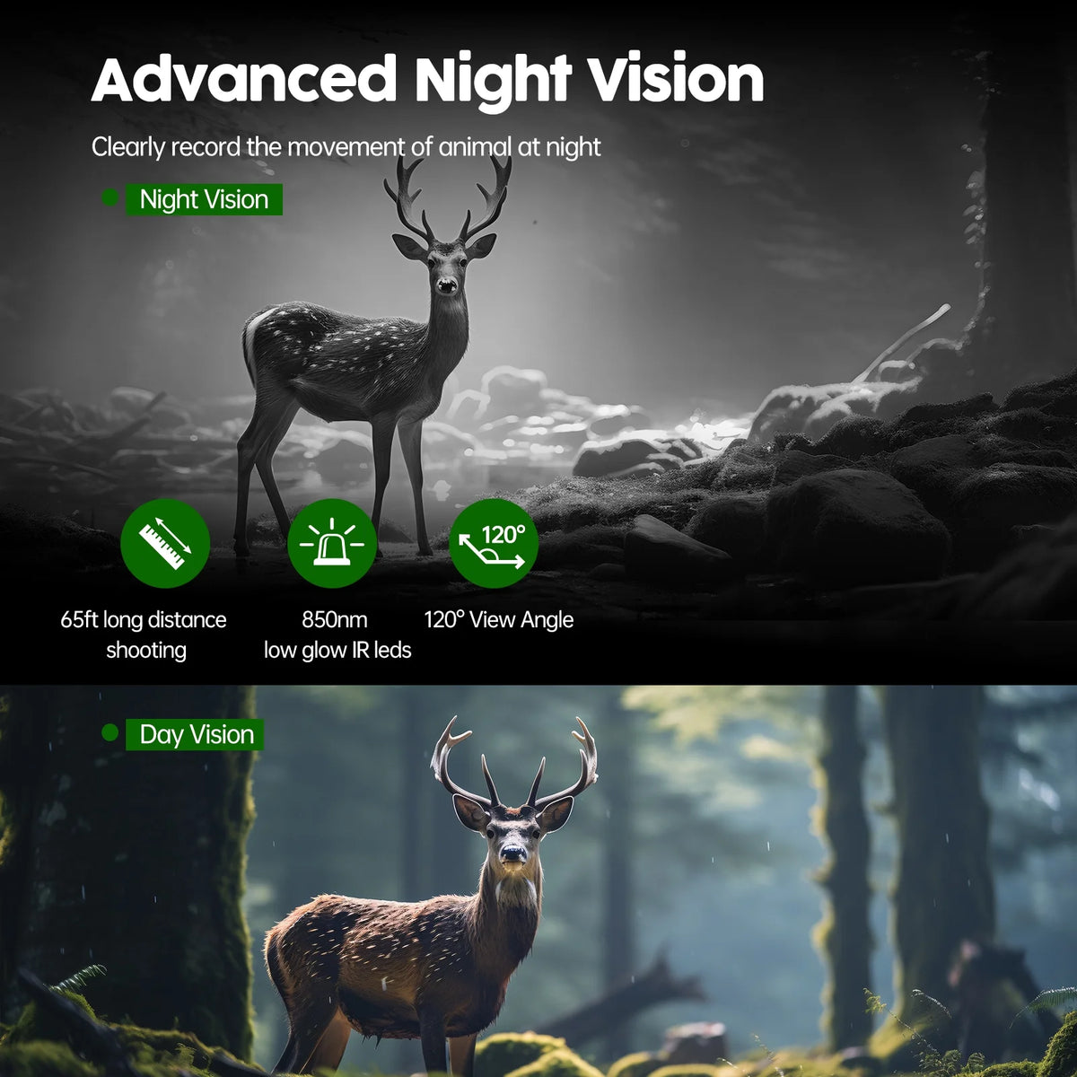 Solar Powered Trail Camera 1080P 24MP with Night Vision Waterproof O274