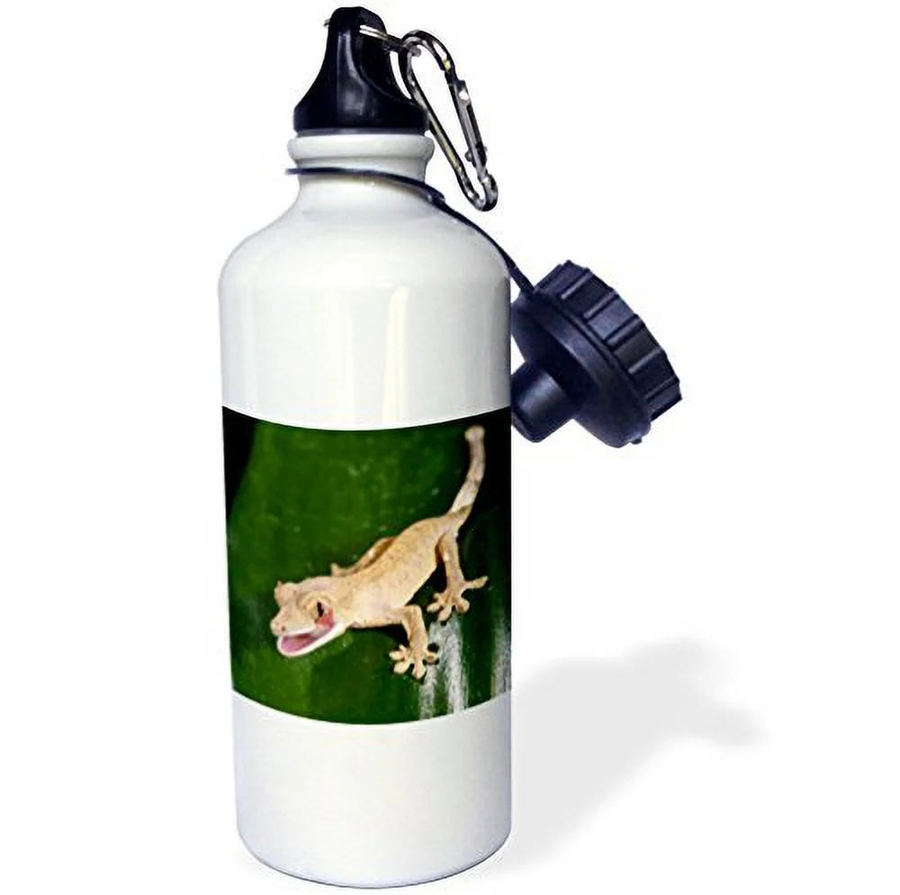 21 oz Sports Water Bottle B517824