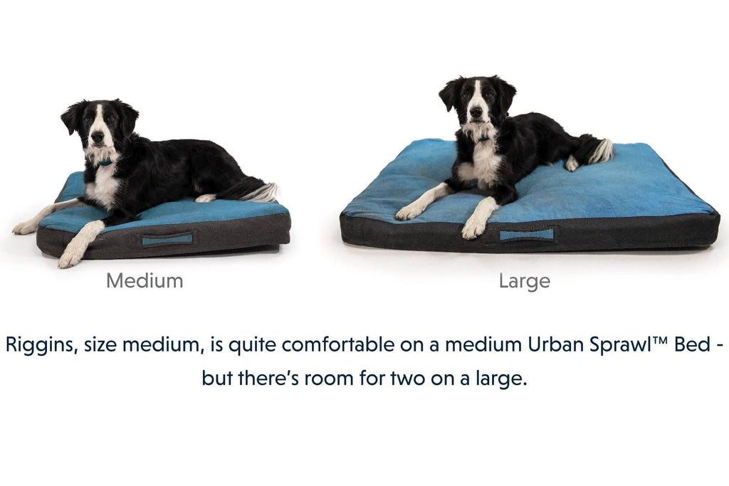 Overcast Blue Dog Bed P62301