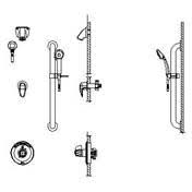 Universal Dual Shower Trim Diverter Hand Shower and Grab Bar P66492