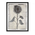 Framed Giclee Print 30x40 B150