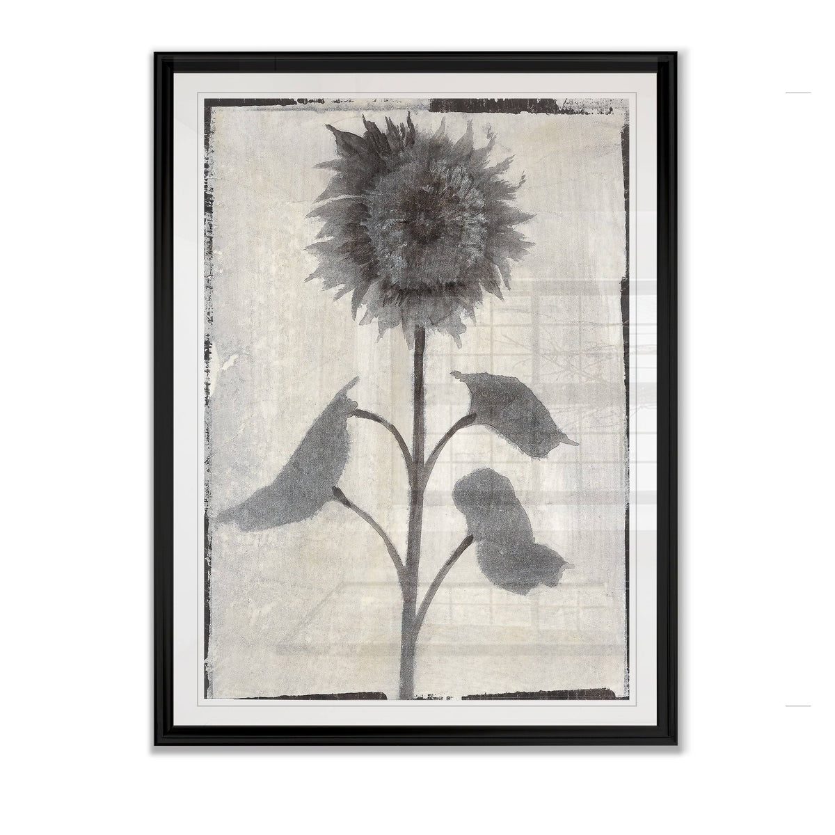Framed Giclee Print 30x40 B150