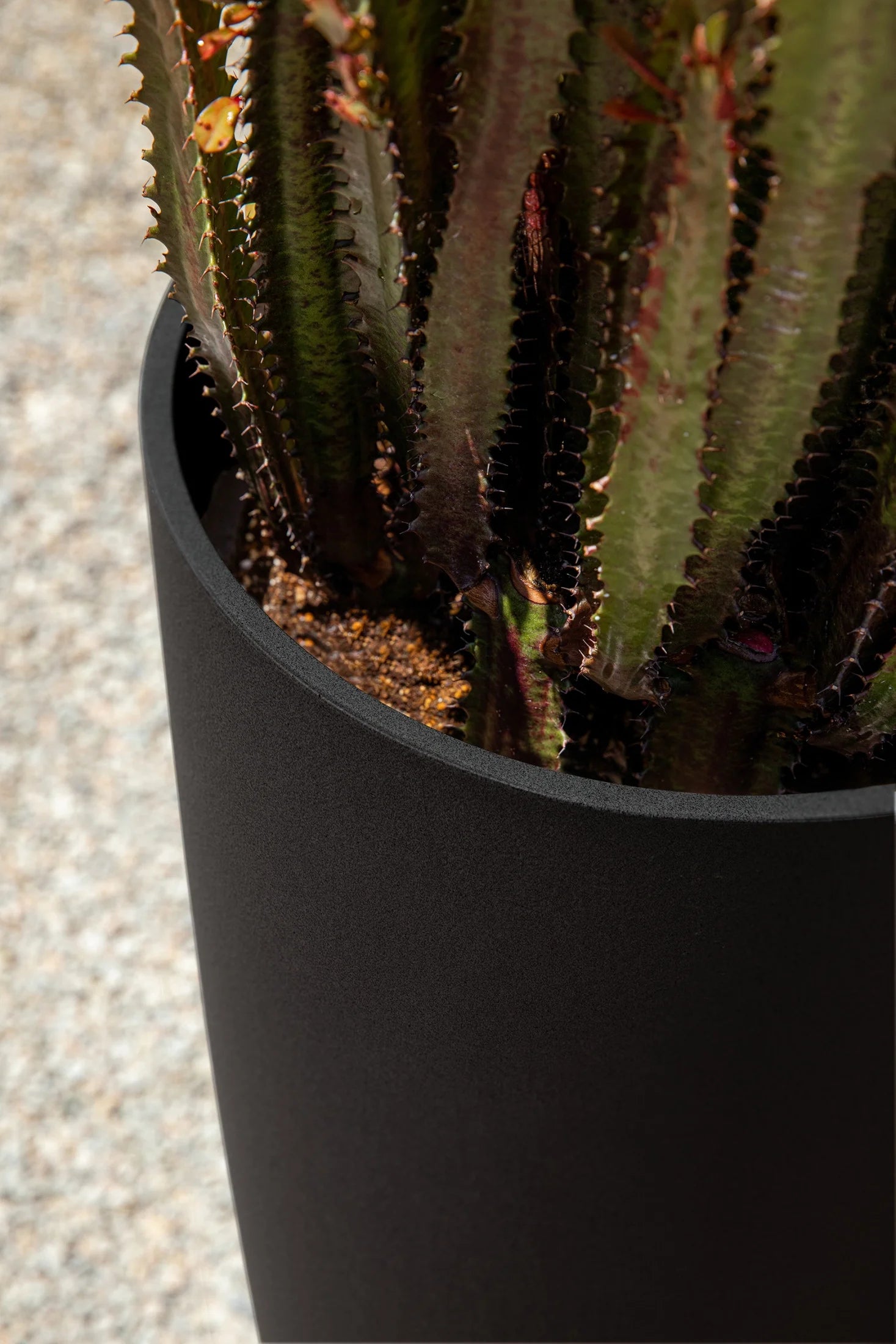 Black 2-Pack Plastic-Stone Planter O918
