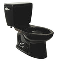 Black Toilet N920674
